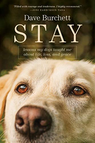 Stock image for Stay: Lessons My Dogs Taught Me about Life, Loss, and Grace for sale by ZBK Books