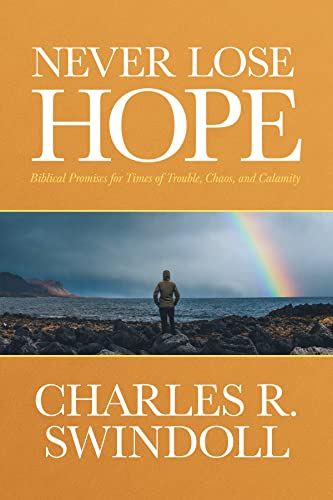 Stock image for Never Lose Hope: Biblical Promises for Times of Trouble, Chaos, and Calamity for sale by SecondSale