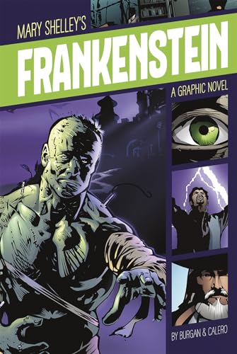 9781496500281: Frankenstein (Graphic Revolve: Common Core Editions): A Graphic Novel