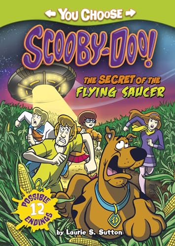 9781496504807: The Secret of the Flying Saucer