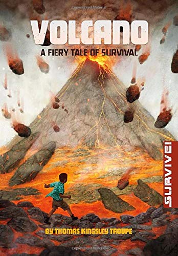 Stock image for Volcano : A Fiery Tale of Survival for sale by Better World Books