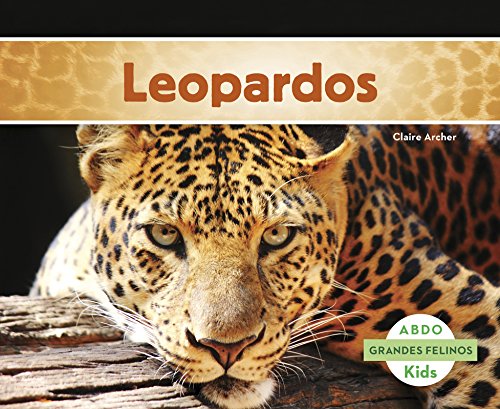 Imagen de archivo de Leopardos (Abdo Kids: Grandes Felinos) (Spanish Edition) a la venta por Irish Booksellers