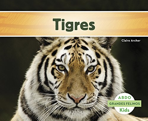 Tigres (Abdo Kids: Grandes Felinos) (Spanish Edition) - Archer, Claire