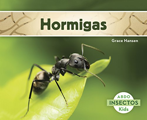 9781496604750: Hormigas/ Ants