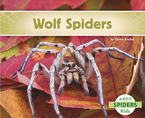 Imagen de archivo de Wolf Spiders a la venta por ThriftBooks-Atlanta