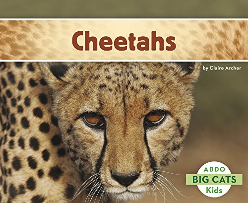 Imagen de archivo de Cheetahs (Big Cats) a la venta por WYEMART LIMITED