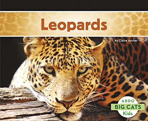 9781496610096: Leopards (Big Cats)