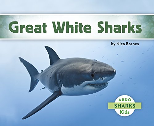 9781496610317: Great White Sharks