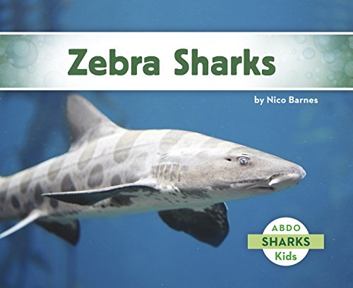 9781496610324: Zebra Sharks