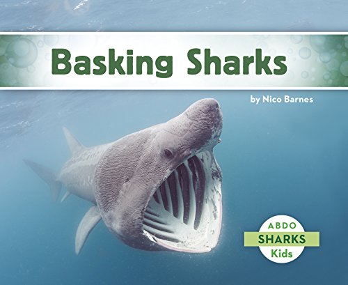 Imagen de archivo de Basking Sharks a la venta por GoodwillNI