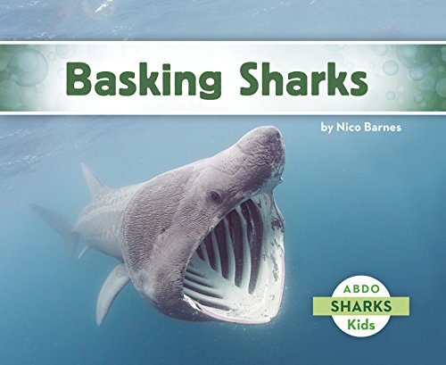 9781496610355: Basking Sharks