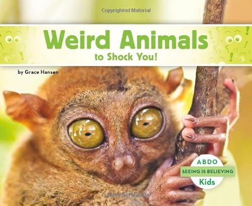 9781496613202: Weird Animals to Shock You!