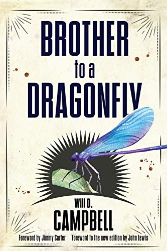 9781496816306: Brother to a Dragonfly (Banner Books)