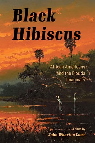 Imagen de archivo de Black Hibiscus a la venta por Blackwell's