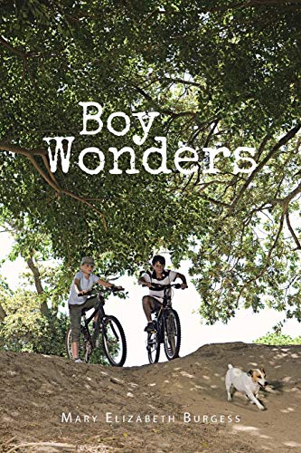 Beispielbild fr Boy Wonders zum Verkauf von Chiron Media