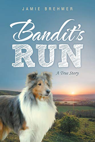 Beispielbild fr Bandit's Run: A True Story zum Verkauf von Chiron Media