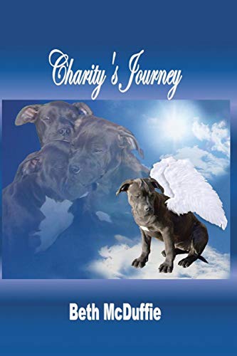 Imagen de archivo de Charity's Journey a la venta por AwesomeBooks