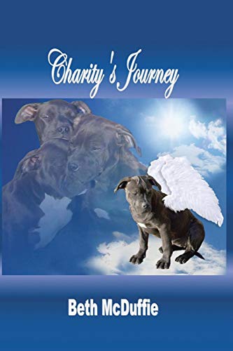 Stock image for Charity's Journey for sale by ThriftBooks-Atlanta