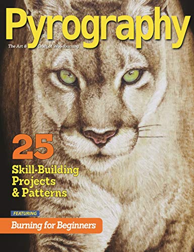 Stock image for Pyrography: 25 Skill-building Projects & Patterns Featuring Burning for Beginners for sale by Revaluation Books