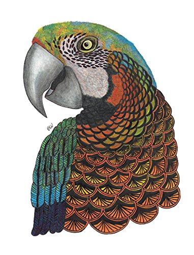 9781497203891: TangleEasy Guided Journal Parrot