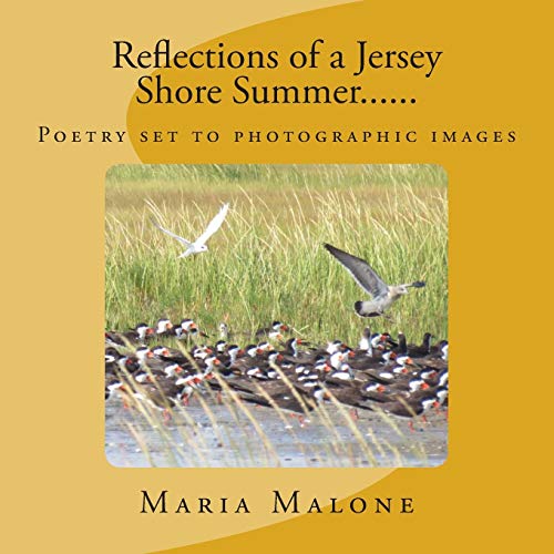 Beispielbild fr Reflections of a Jersey Shore Summer. zum Verkauf von THE SAINT BOOKSTORE