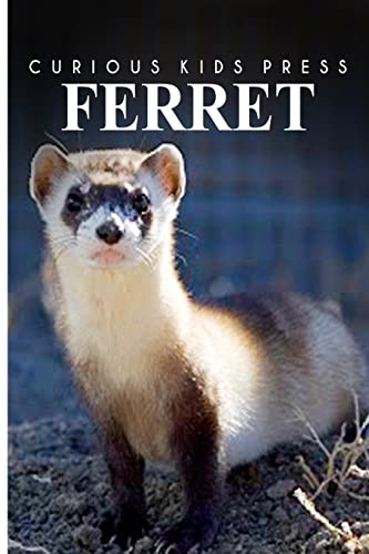 Imagen de archivo de Ferret - Curious Kids Press: Kids book about animals and wildlife, Children's books 4-6 a la venta por ZBK Books