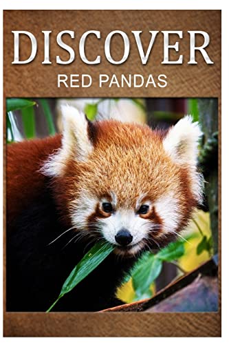 Imagen de archivo de Red Pandas - Discover: Early reader's wildlife photography book a la venta por Lucky's Textbooks