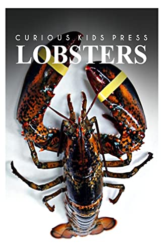 9781497517783: Lobster - Curious Kids Press: Kids book about animals and wildlife, Children's books 4-6