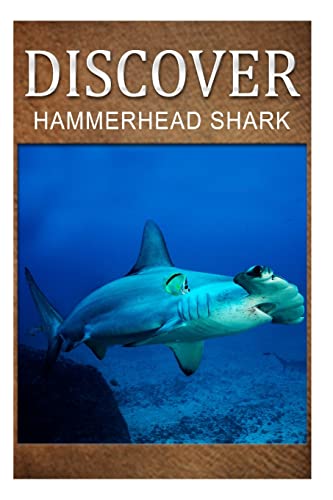 Imagen de archivo de Hammerhead Shark - Discover: Early reader's wildlife photography book a la venta por Russell Books