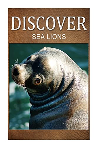 Imagen de archivo de Sea Lion - Discover: Early reader's wildlife photography book a la venta por ThriftBooks-Atlanta