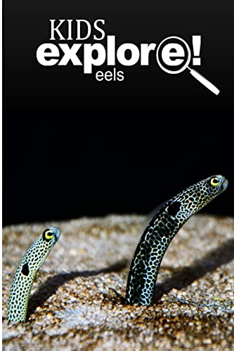 Stock image for Eels - Kids Explore: Animal books nonfiction - books ages 5-6 for sale by Save With Sam