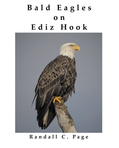 Stock image for Bald Eagles on Ediz Hook for sale by Irolita Books