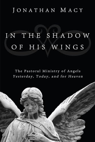 9781498213073: In the Shadow of His Wings: The Pastoral Ministry of Angels: Yesterday, Today, and for Heaven