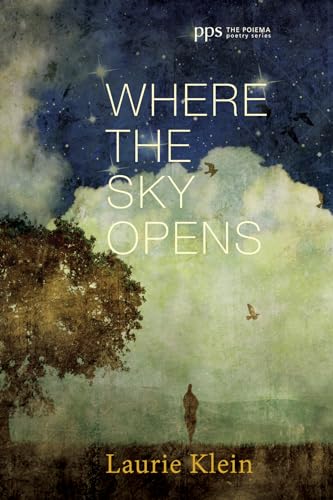 Stock image for Where the Sky Opens for sale by ThriftBooks-Dallas