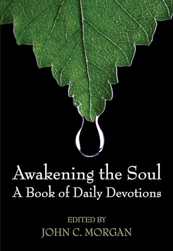 Stock image for Awakening the Soul for sale by Chiron Media