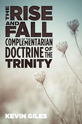 9781498244435: The Rise and Fall of the Complementarian Doctrine of the Trinity