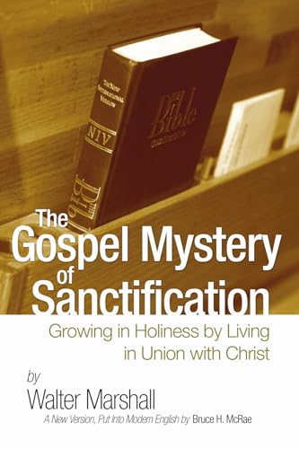 9781498247351: The Gospel Mystery of Sanctification