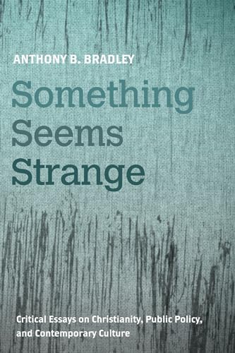 Stock image for Something Seems Strange: Critical Essays on Christianity, Public Policy, and Contemporary Culture for sale by HPB-Red
