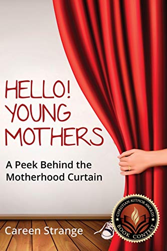 9781498408028: Hello, Young Mothers