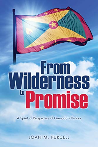 9781498412599: From Wilderness to Promise