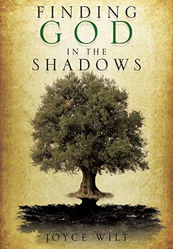 Stock image for FINDING GOD IN THE SHADOWS for sale by PBShop.store US