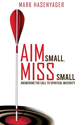 9781498424073: AIM SMALL, MISS SMALL