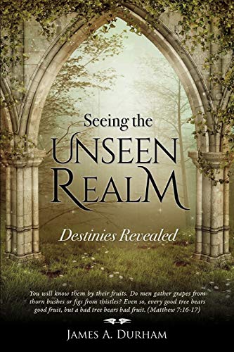 Imagen de archivo de Seeing the Unseen Realm a la venta por Jenson Books Inc