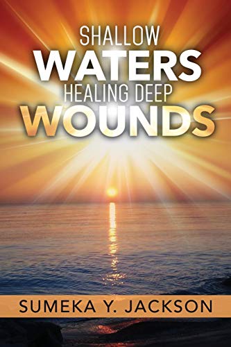 9781498480550: Shallow Waters Healing Deep Wounds