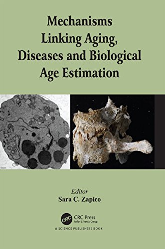 Stock image for Mechanisms Linking Aging, Diseases and Biological Age Estimation for sale by Chiron Media