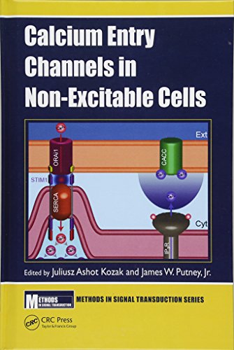 Beispielbild fr Calcium Entry Channels in Non-Excitable Cells zum Verkauf von Basi6 International