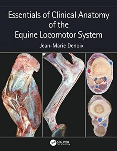 Stock image for Essentials of Clinical Anatomy of the Equine Locomotor System for sale by Goodvibes Books