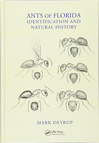 Stock image for Ants of Florida: Identification and Natural History for sale by Chiron Media