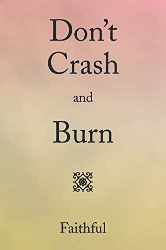 Beispielbild fr Don't Crash and Burn zum Verkauf von Chiron Media