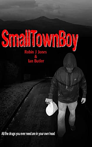 9781499128093: Small Town Boy